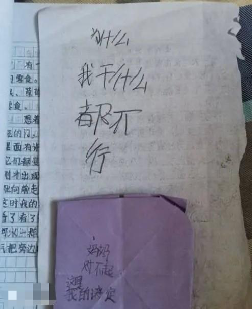 浅谈中小学生自杀现象.png